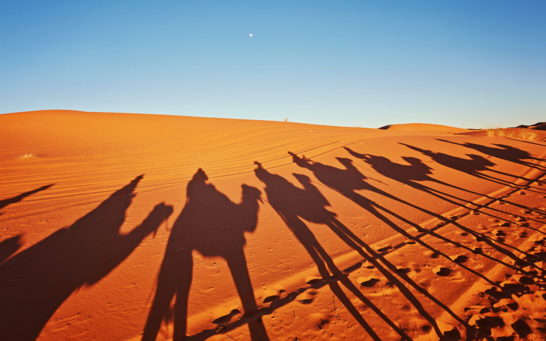 Maroc : le point sur l’allègement des conditions d’entrée pour les voyageurs