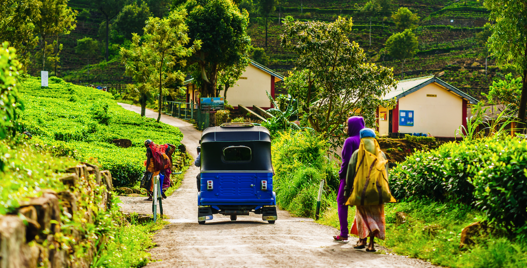 Sri Lanka, Arabie saoudite : des prochaines réouvertures aux touristes